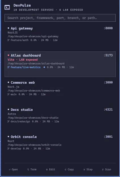 DevPulse preview