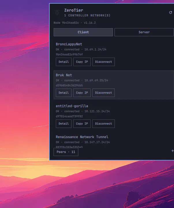 ZeroTier preview
