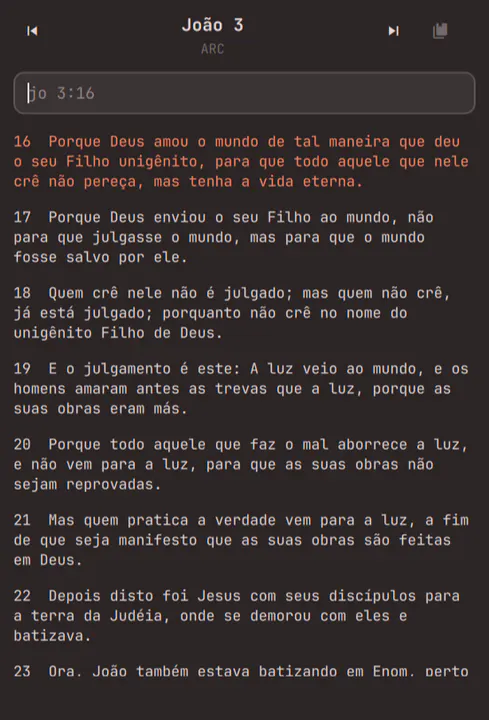 Portuguese Bible preview