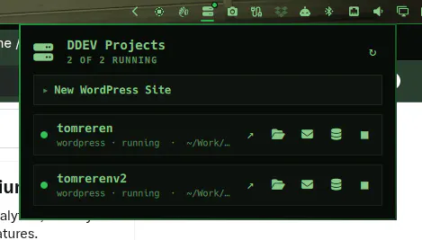 DDEV Projects preview