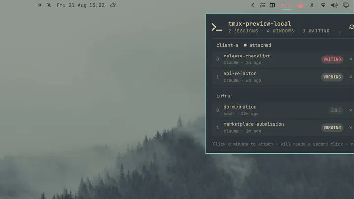 Remote tmux preview