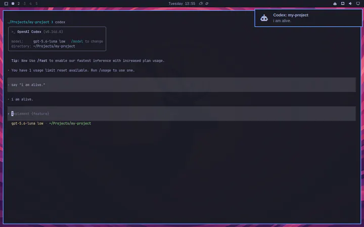 Codex Notifications preview