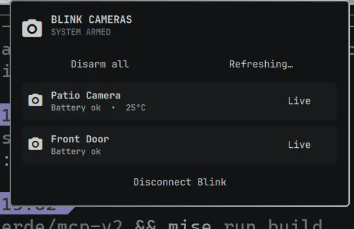 Blink Cameras preview
