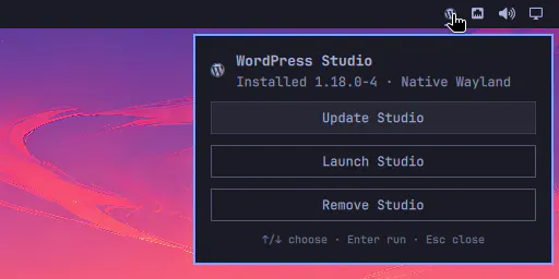 WordPress Studio preview
