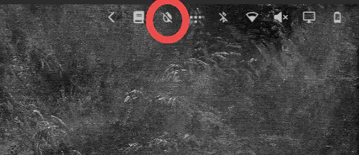 Toggle Grayscale preview