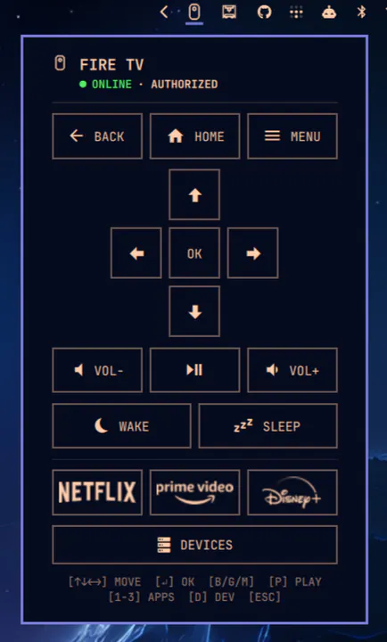 Fire TV Remote preview