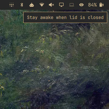 Stay Awake With Lid Closed preview