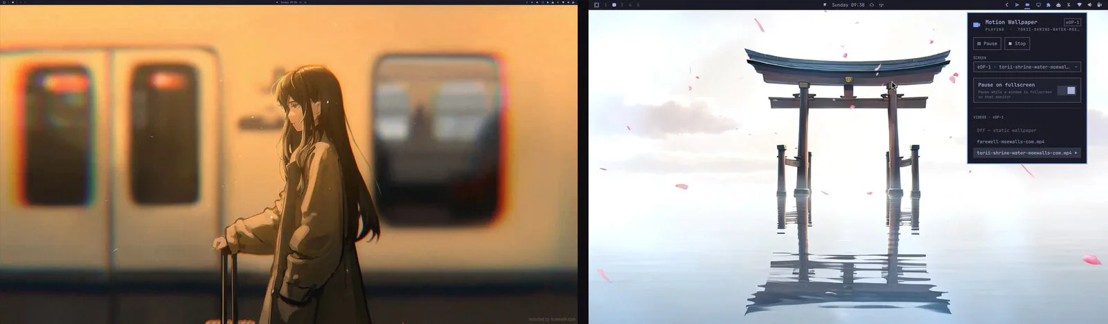Motion Wallpaper screenshot