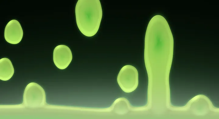 Omalava preview