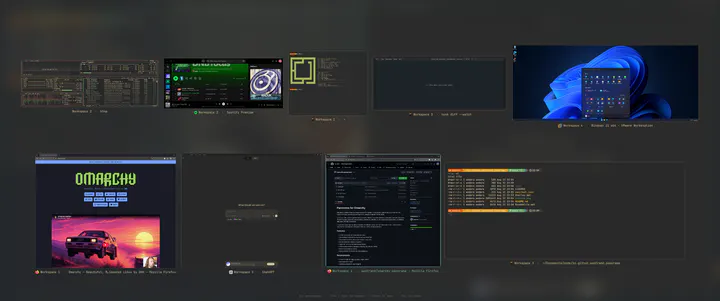 Panorama preview