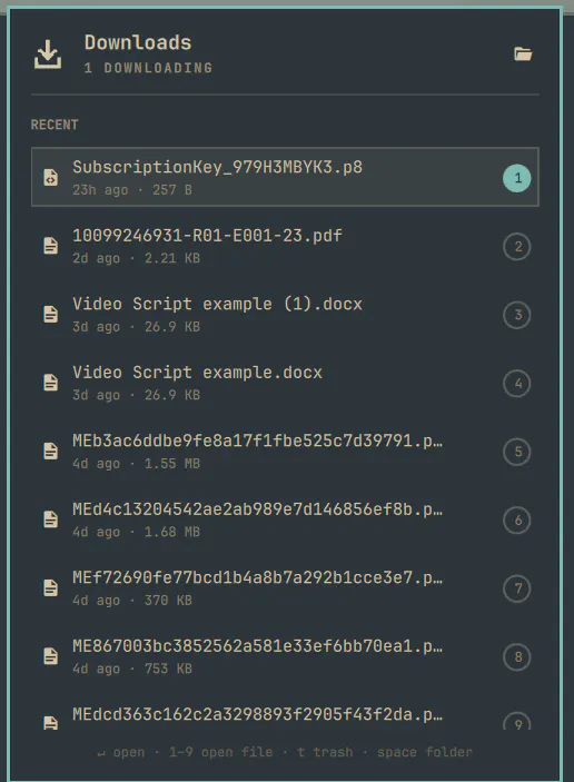 Downloads preview