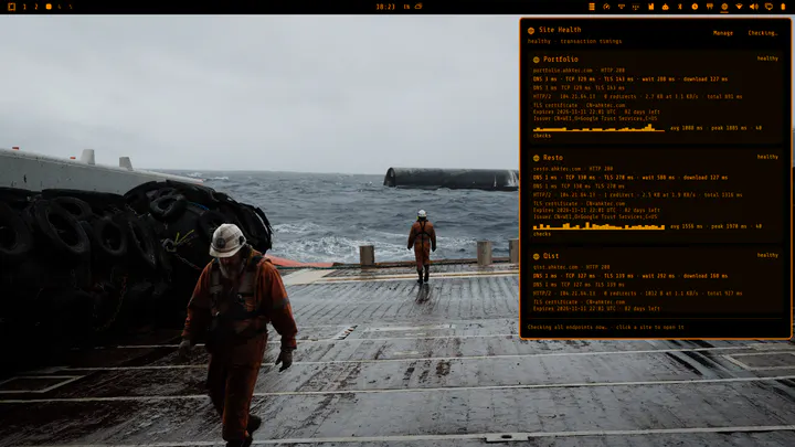 Site Health preview