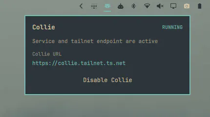 Herdr Collie preview