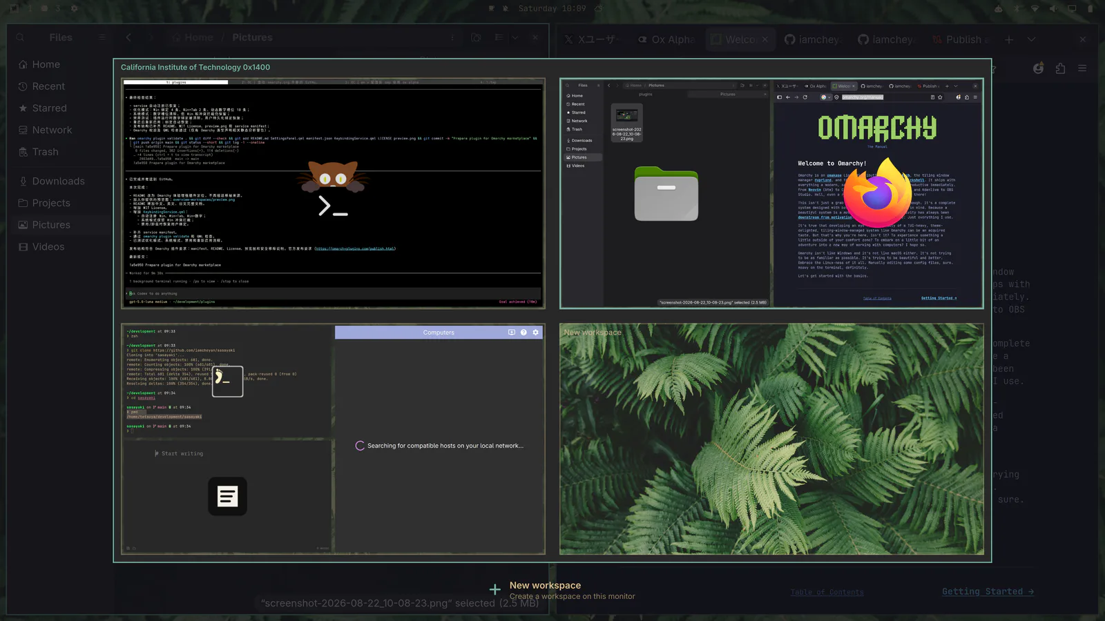 Overview Workspaces screenshot